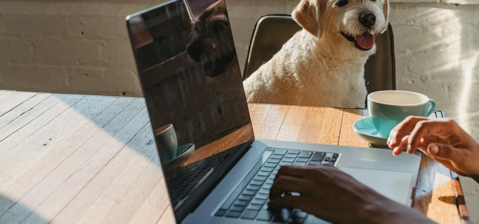 Vai jābūt PVN maksātājam, ja tirdzniecība notiek internetā?